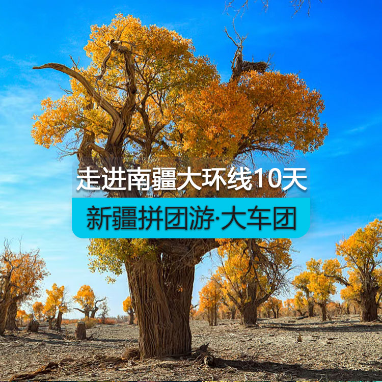 【新疆拼團(tuán)游·大車團(tuán)】走近南疆大環(huán)線10日游（景點(diǎn)包含：博斯騰湖、輪臺(tái)胡楊林、359旅紀(jì)念館、沙漠公路、莎車?yán)铣?、白沙湖、喀拉?kù)勒湖、開城儀式、達(dá)瓦昆沙漠、天山托木爾大峽谷）線路編號(hào)：11447